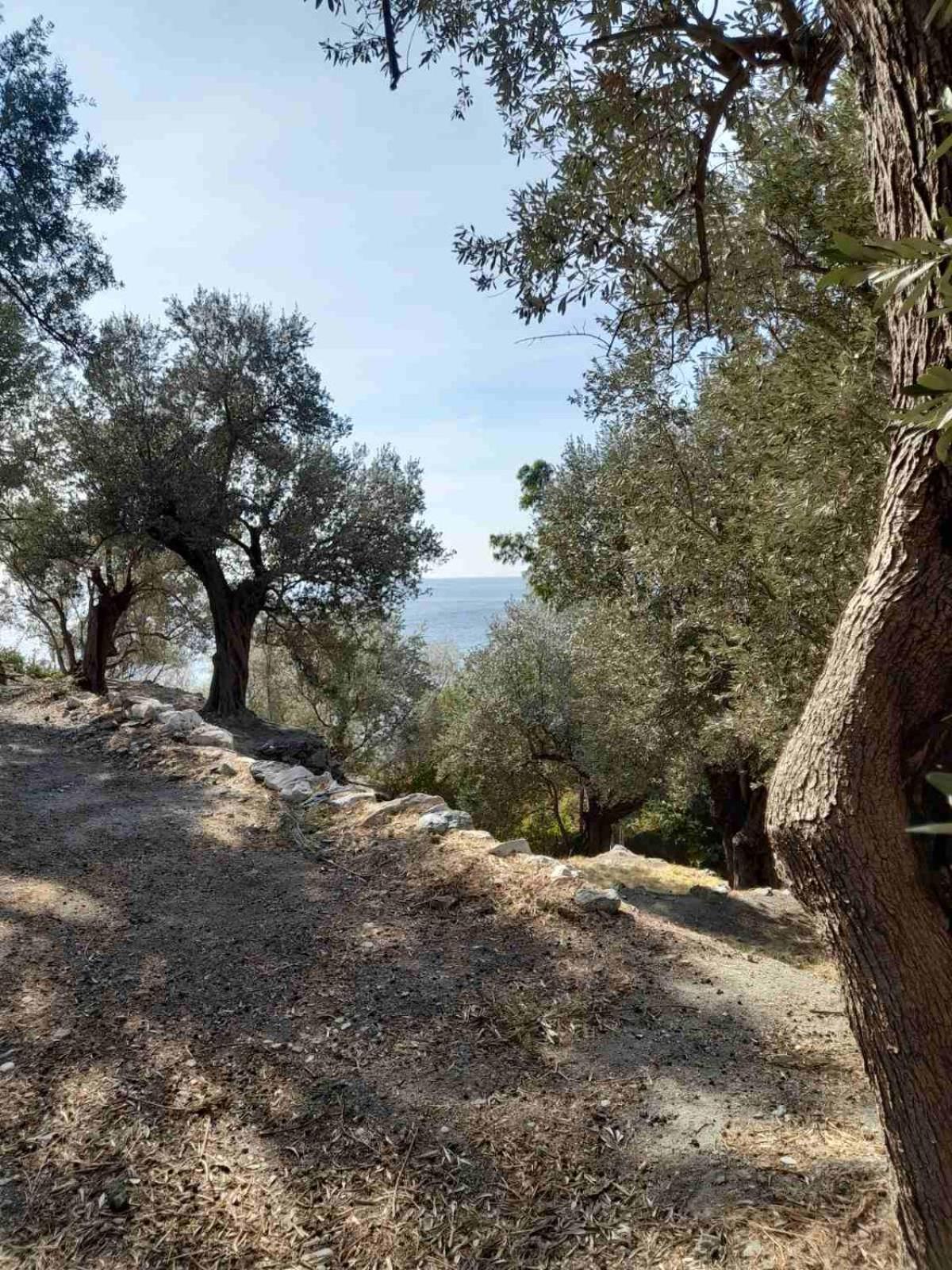 Δωμάτια Κόκκινος Πύργος Plomari Eksteriør bilde